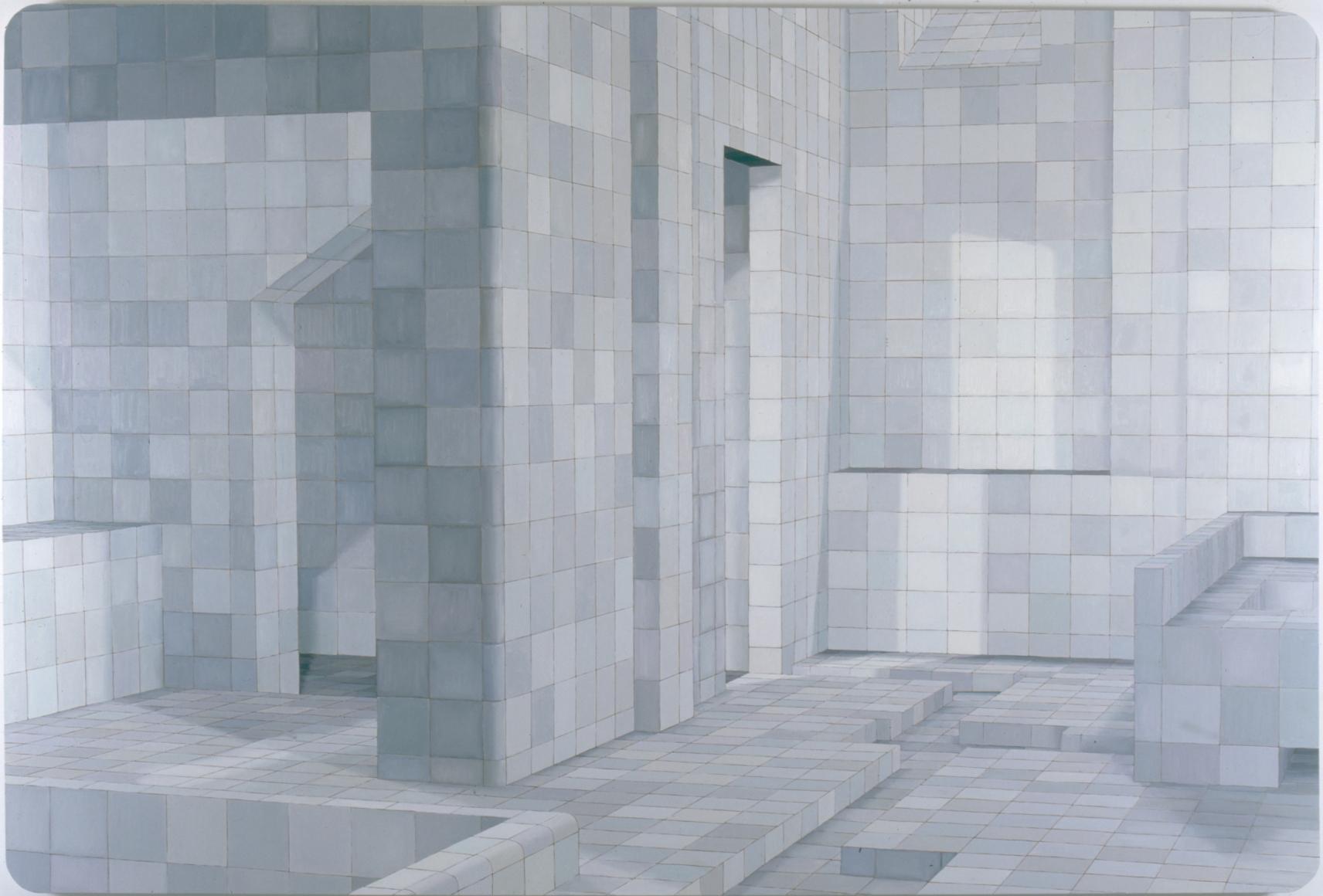 ADRIANA VAREJÃO, White Sauna, 2003