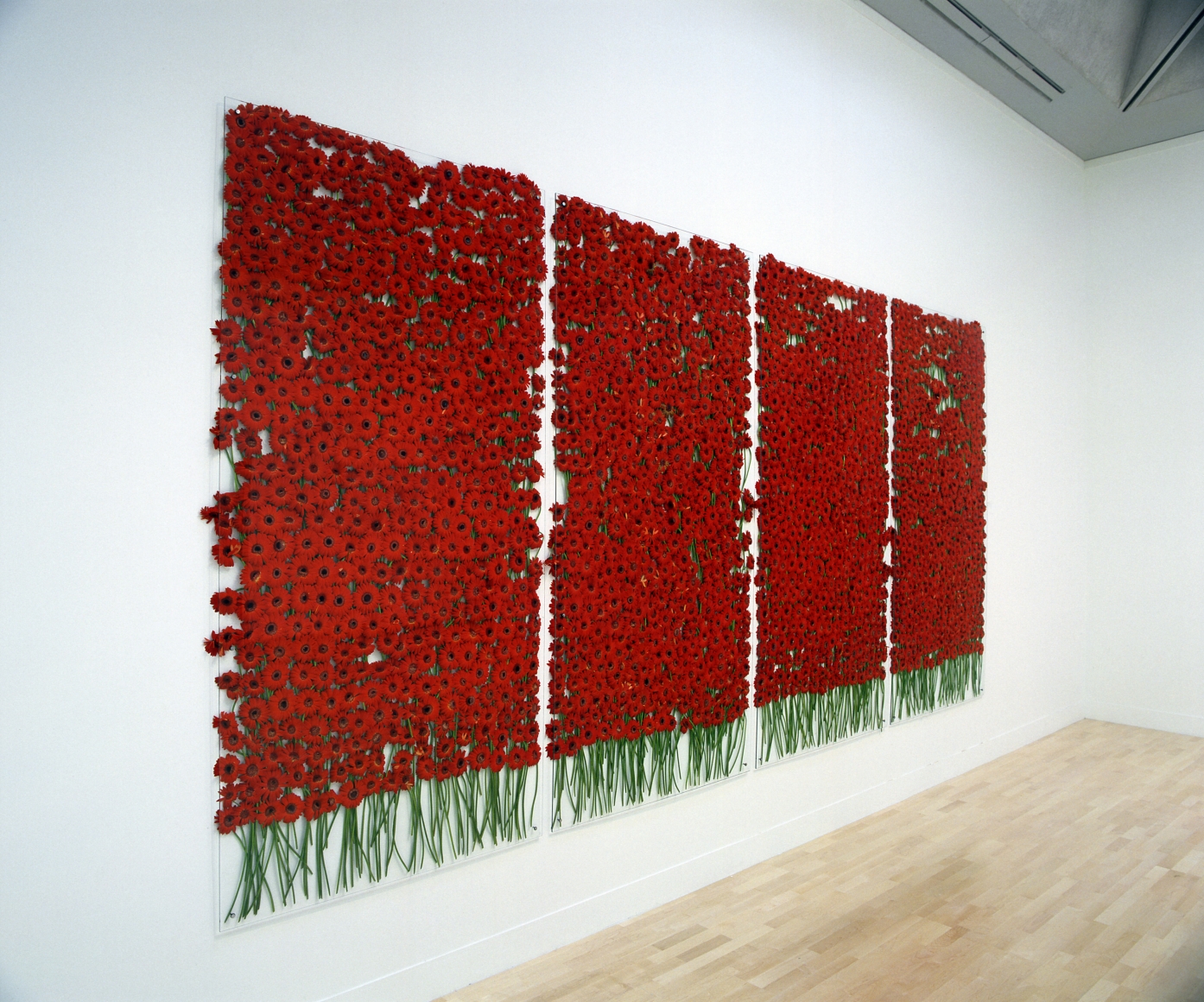 preserve 'beauty', 1991/2003