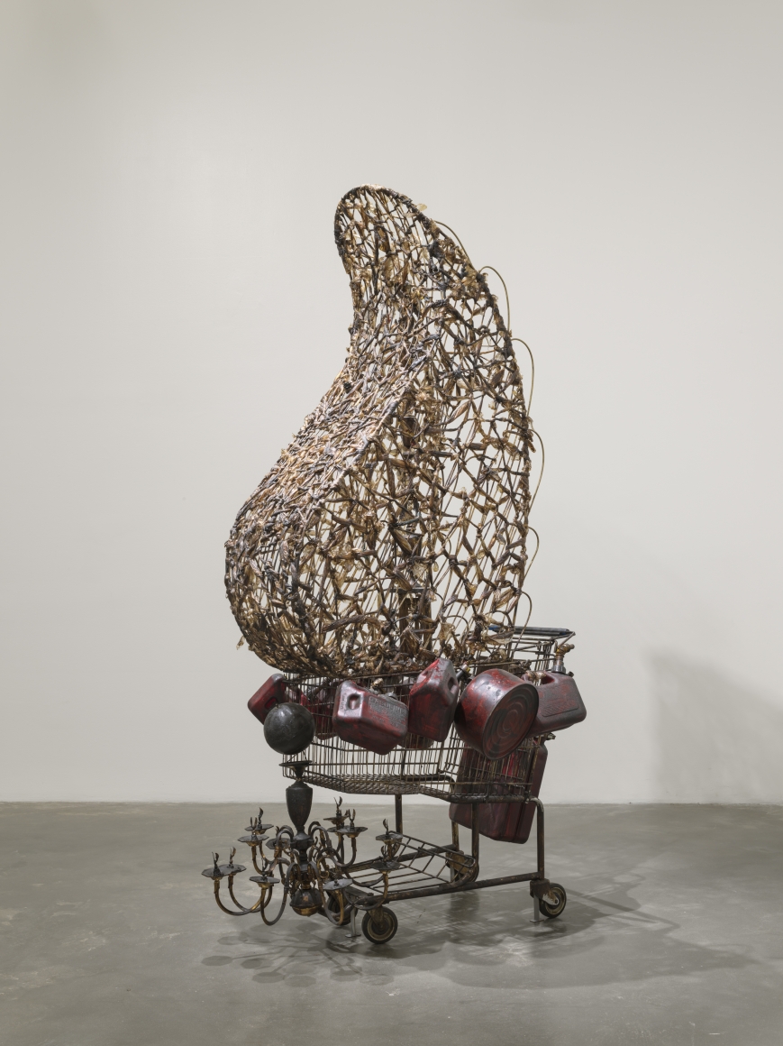 NARI WARD, Crusader, 2005