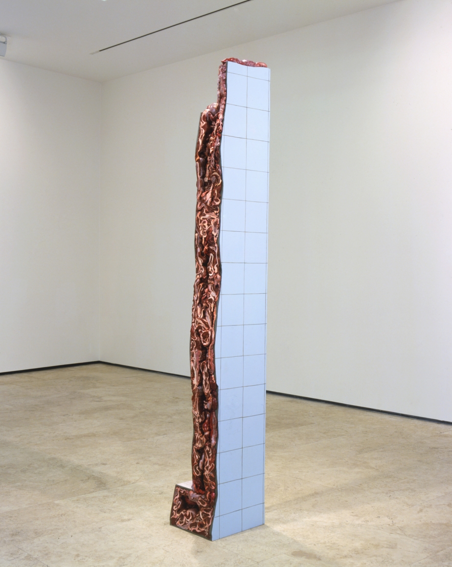 ADRIANA VAREJÃO, Ruina de Charque - Coluna (Column Jerked-Beef Ruin), 2003