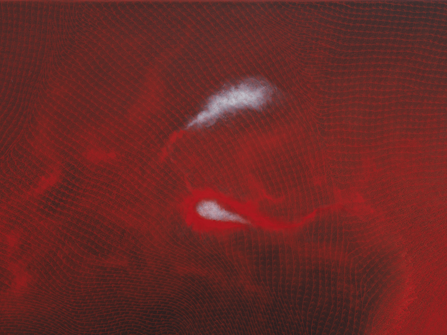 SHIRAZEH HOUSHIARY, Flare-up, 2018 (detail)