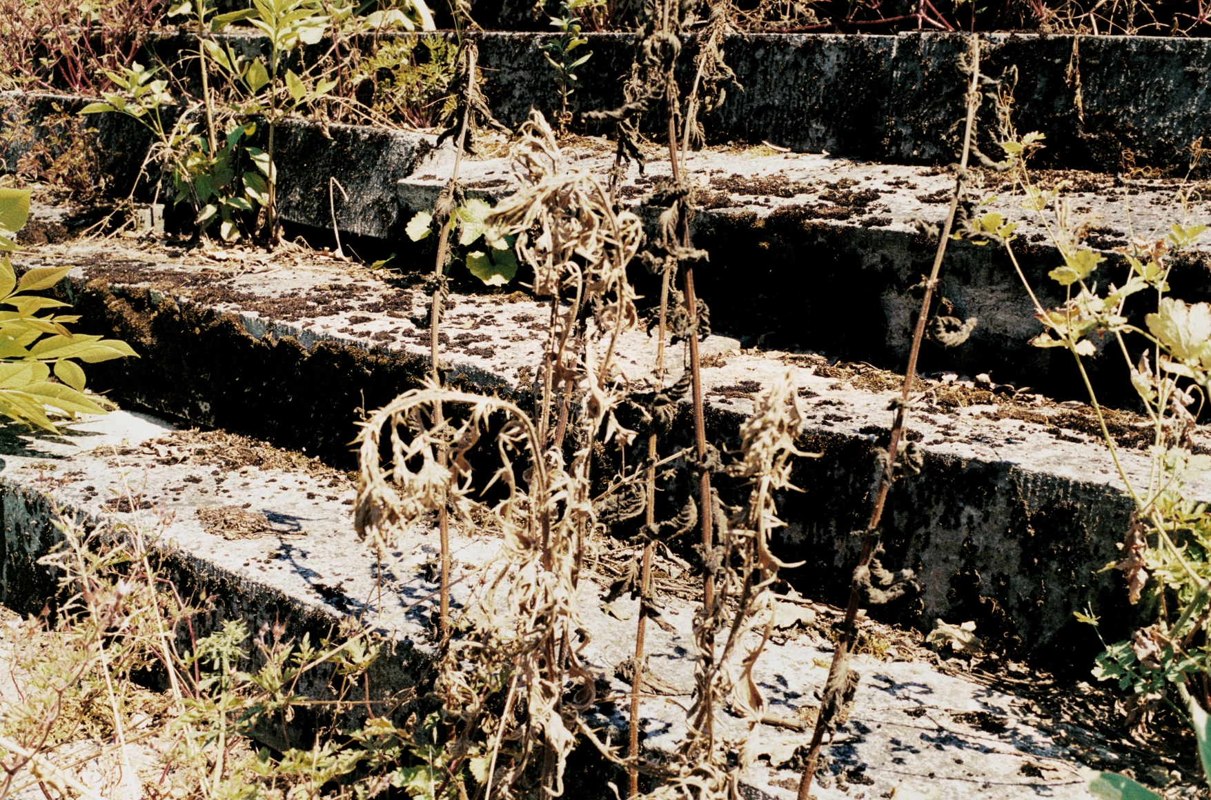p.p1 {margin: 0.0px 0.0px 0.0px 0.0px; font: 9.0px Helvetica}