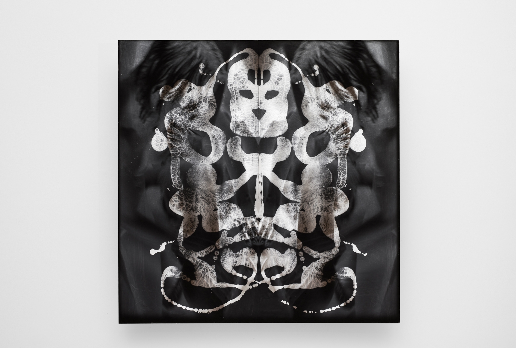 TONY OURSLER, Nonstate Gris, 2019