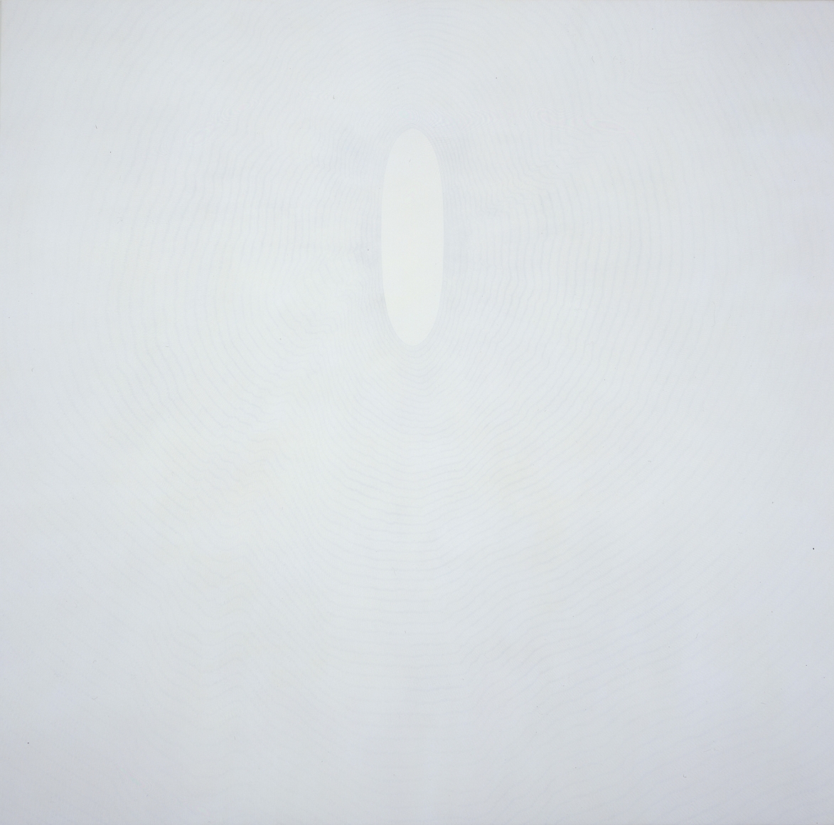 SHIRAZEH HOUSHIARY White shadow, 1998