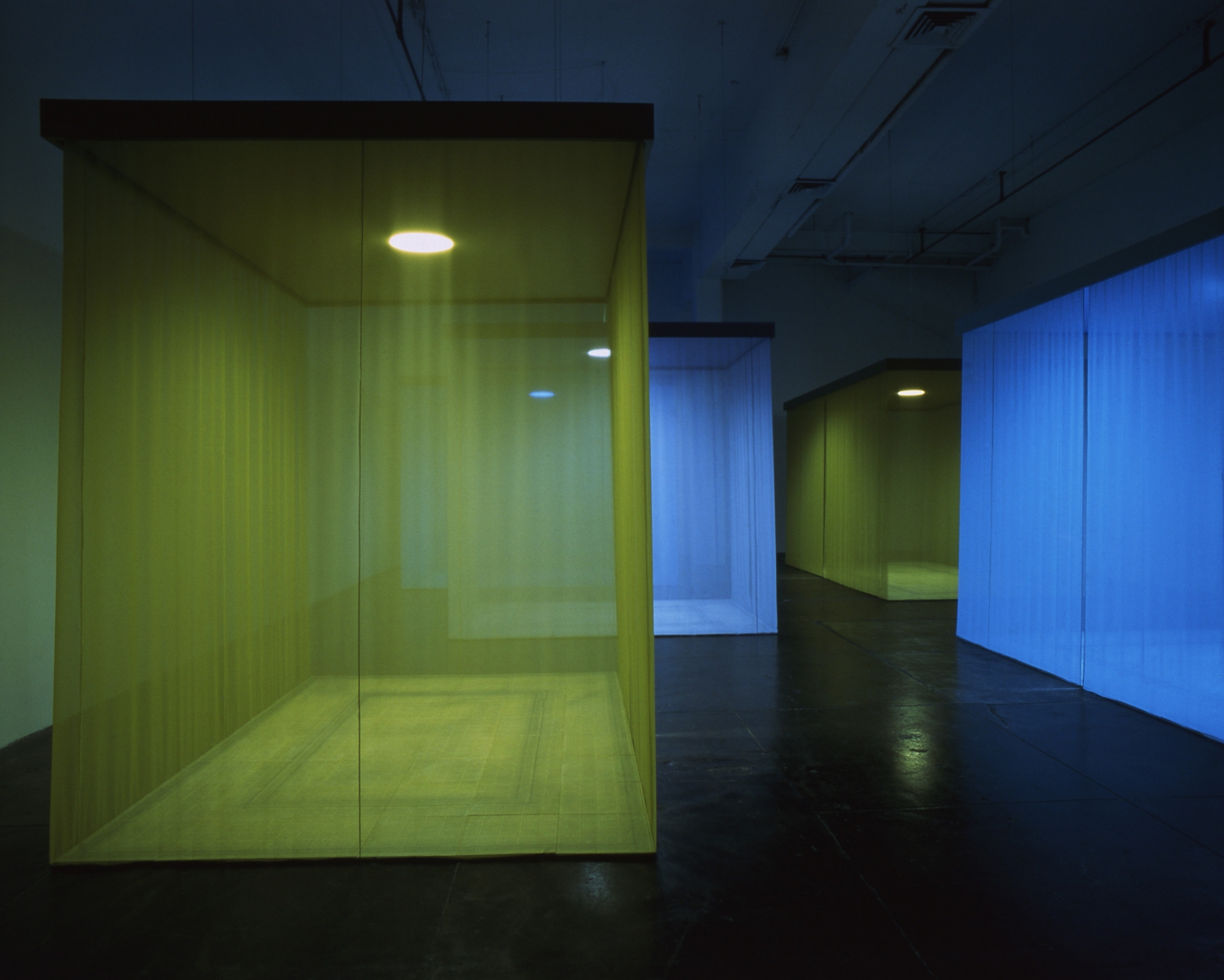 TERESITA FERNÁNDEZ, Borrowed Landscape, 1998