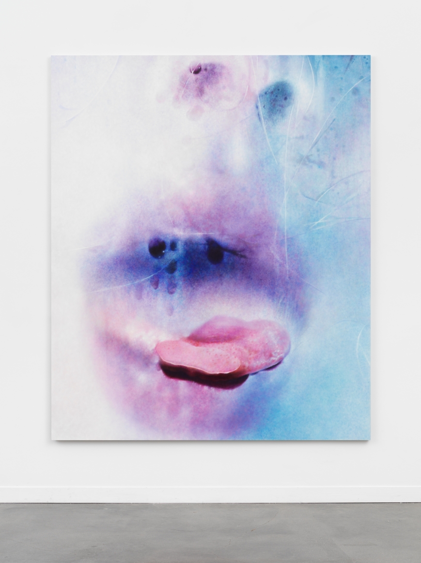 MARILYN MINTER, Deep Frost, 2016