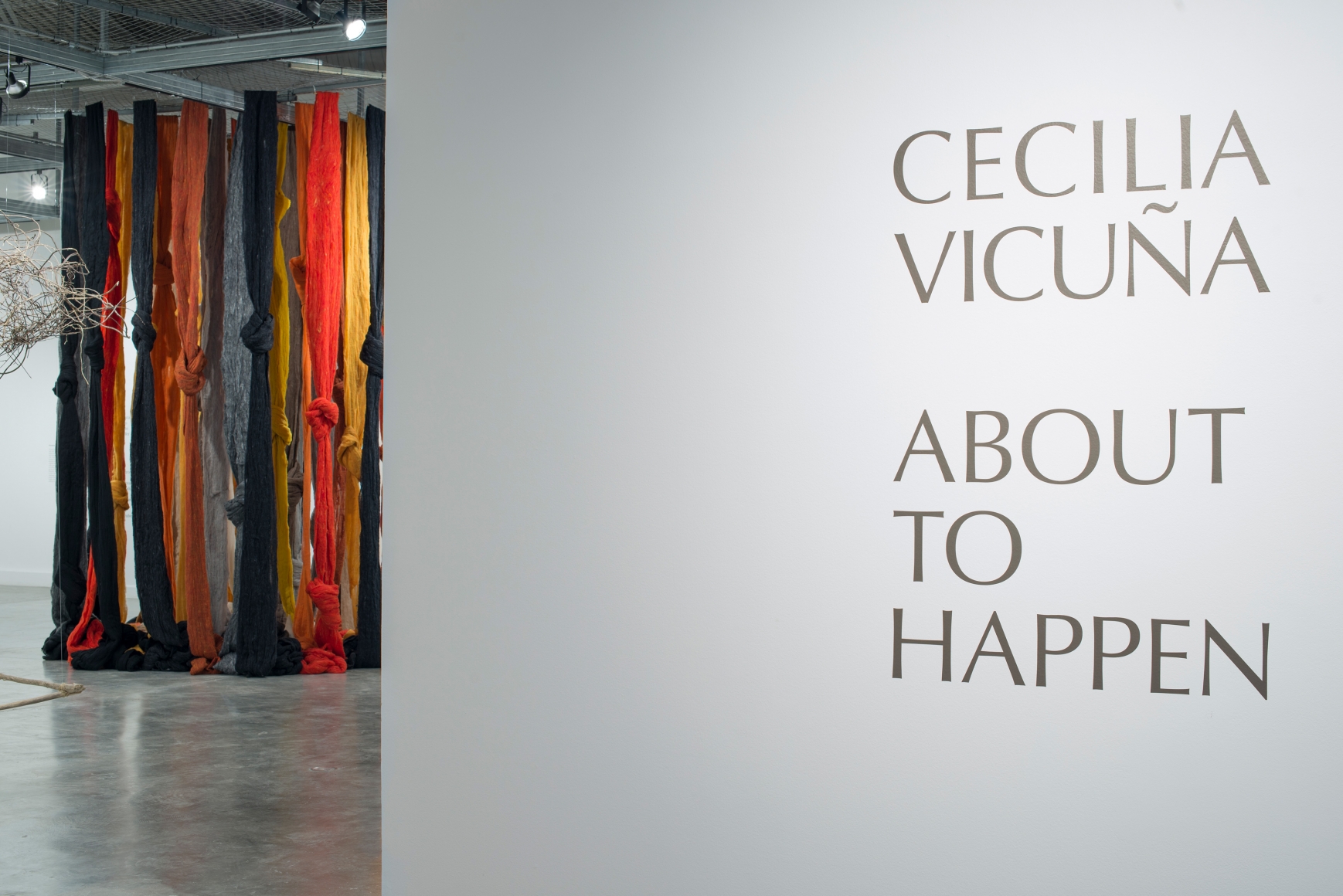 CECILIA VICUÑA, About to Happen