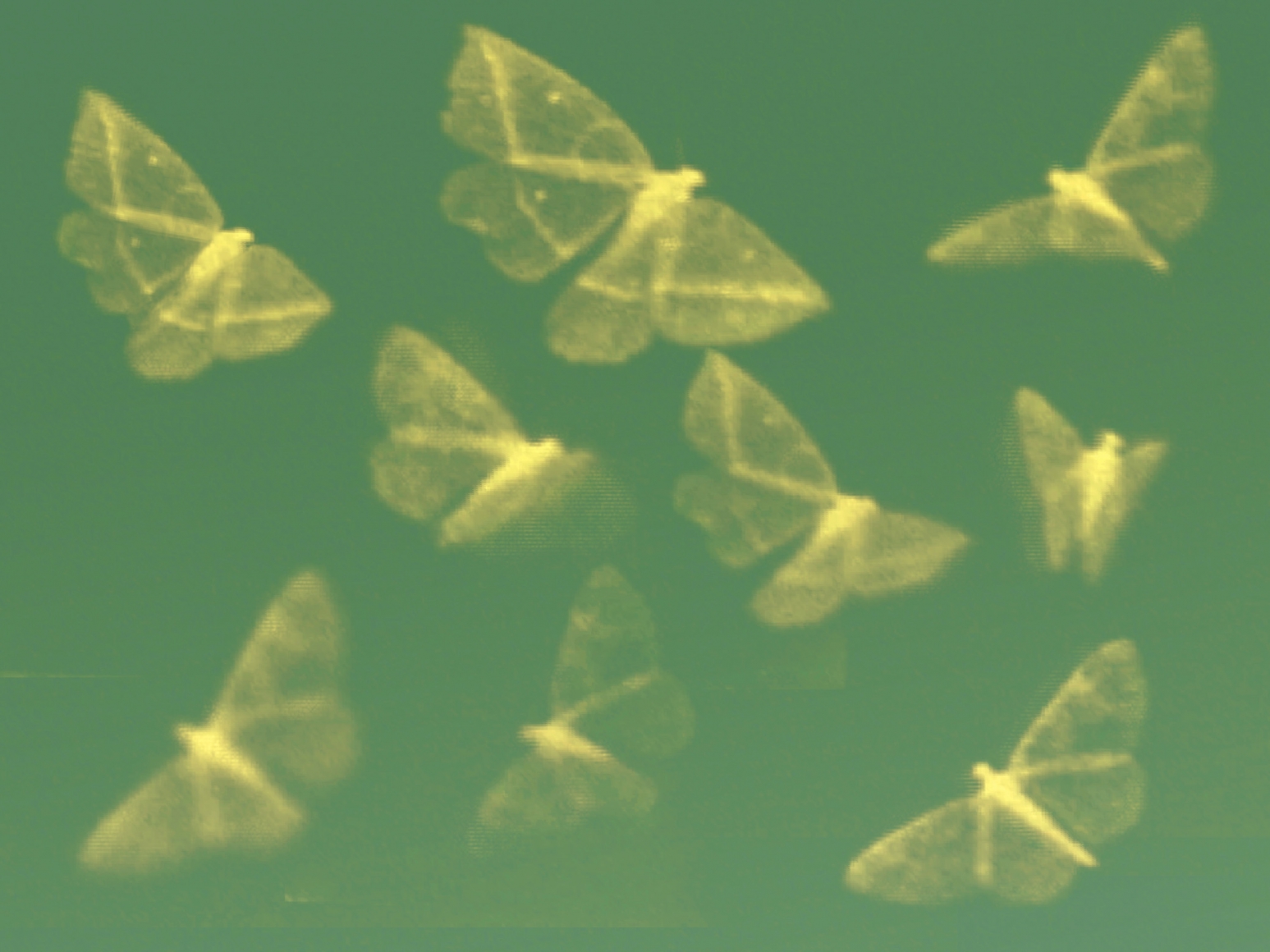 DOUG & MIKE STARN, ATL Film Still 4 (Negative), 2000-2004