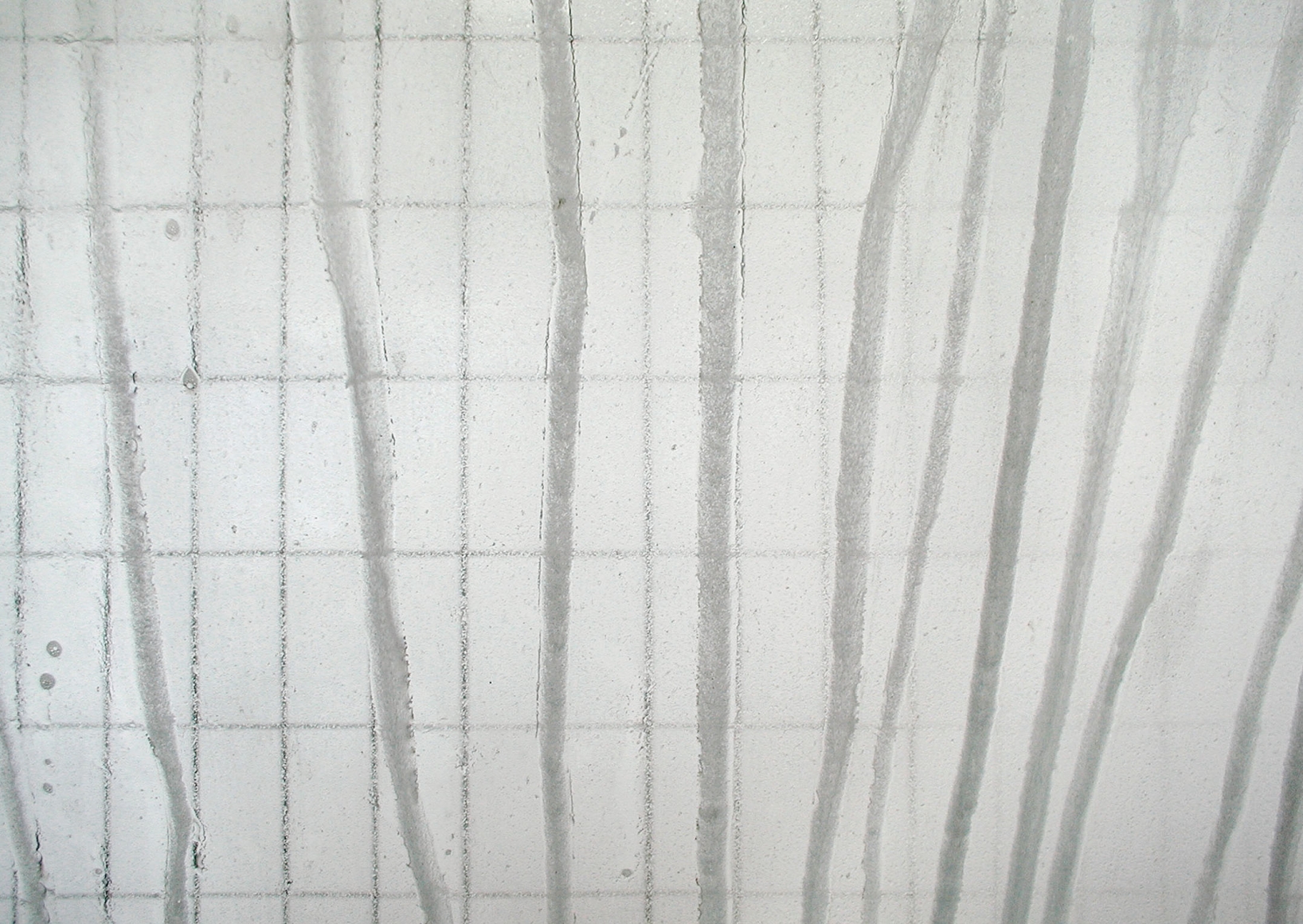 JÖRG SASSE, 2439, 2001