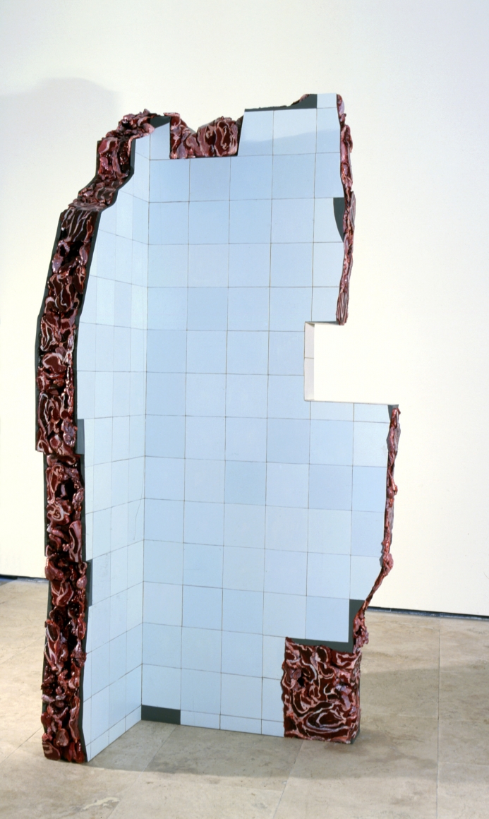 ADRIANA VAREJÃO, Ruina de Charque - Quina (Corner Jerked-Beef Ruin), 2003