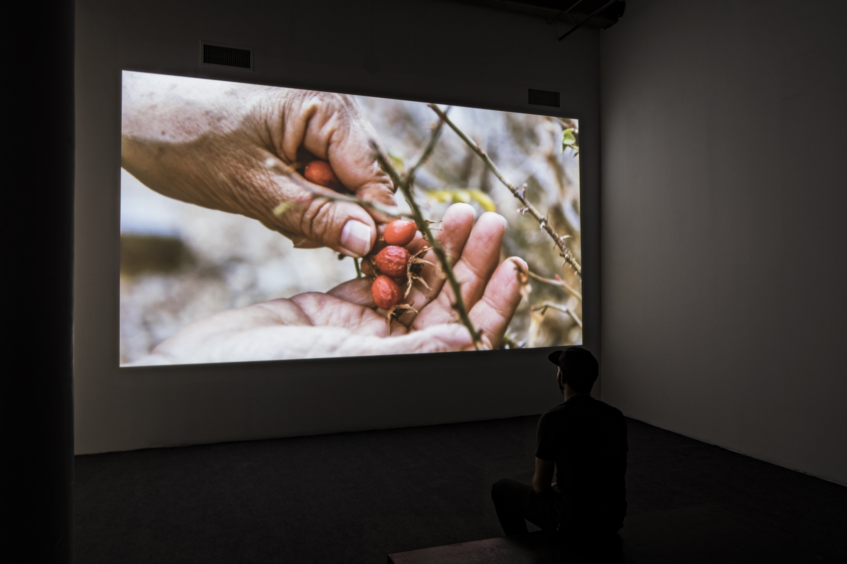 Cecilia Vicuña: About to Happen, Installation view, Berkeley Art Museum and Pacific Film Archive, University of California