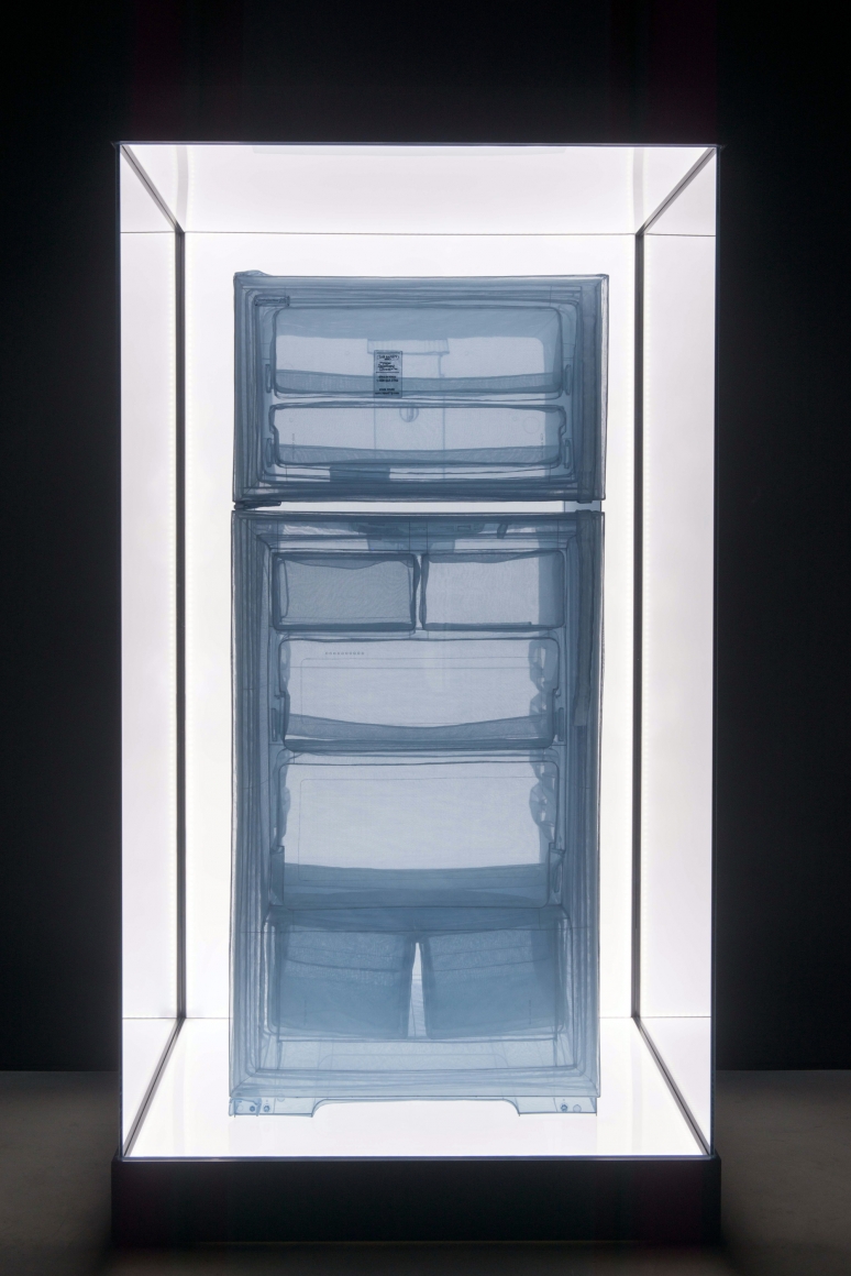 DO HO SUH, Refrigerator, Apartment A, 348 West 22nd Street, New York, NY 10011, USA, 2013