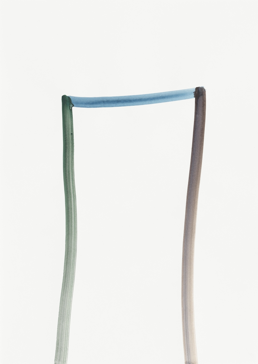 Silvia Bächli Untitled