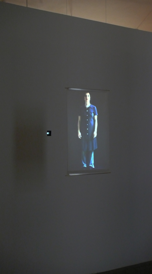 Fiona Tan, Projection