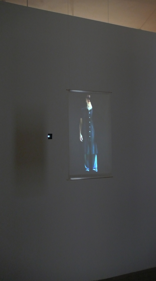 Fiona Tan, Projection