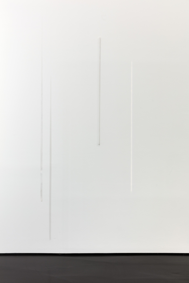 Fernanda Gomes, Untitled
