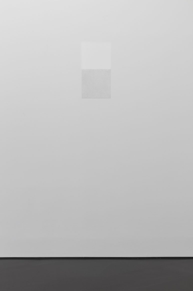 Fernanda Gomes, Untitled