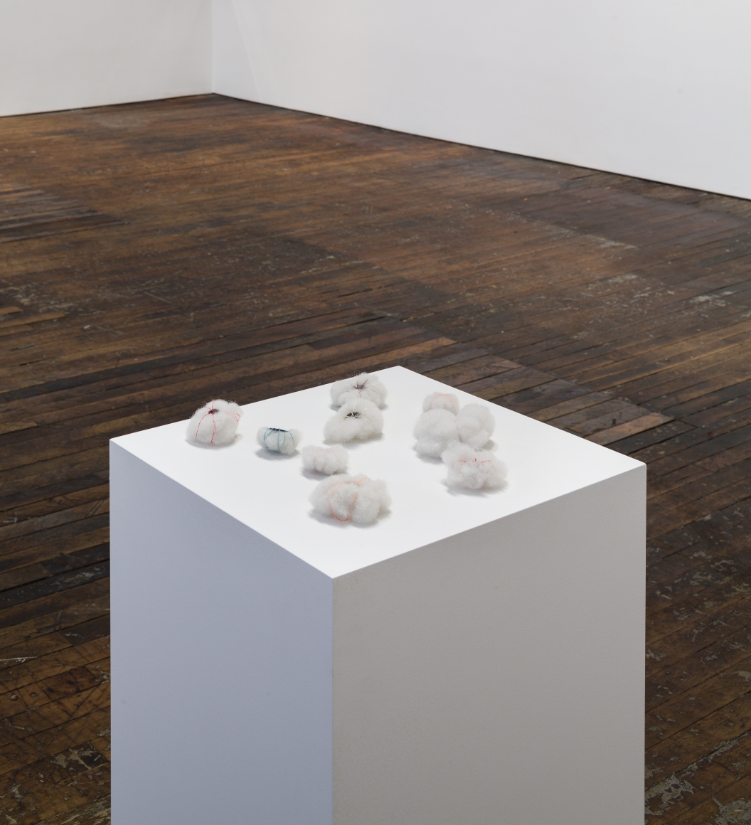 Kerry Andresen Feelies