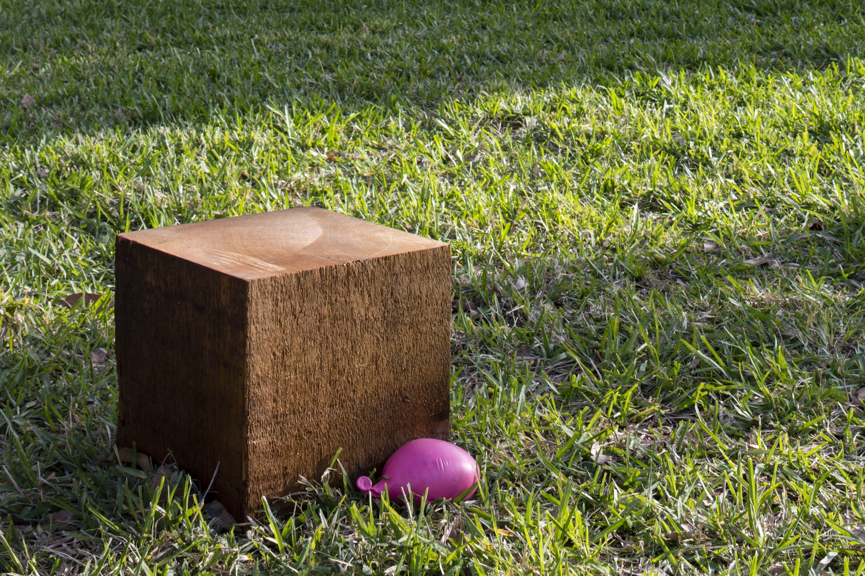 Untitled (Park Installation) (detail), 2016