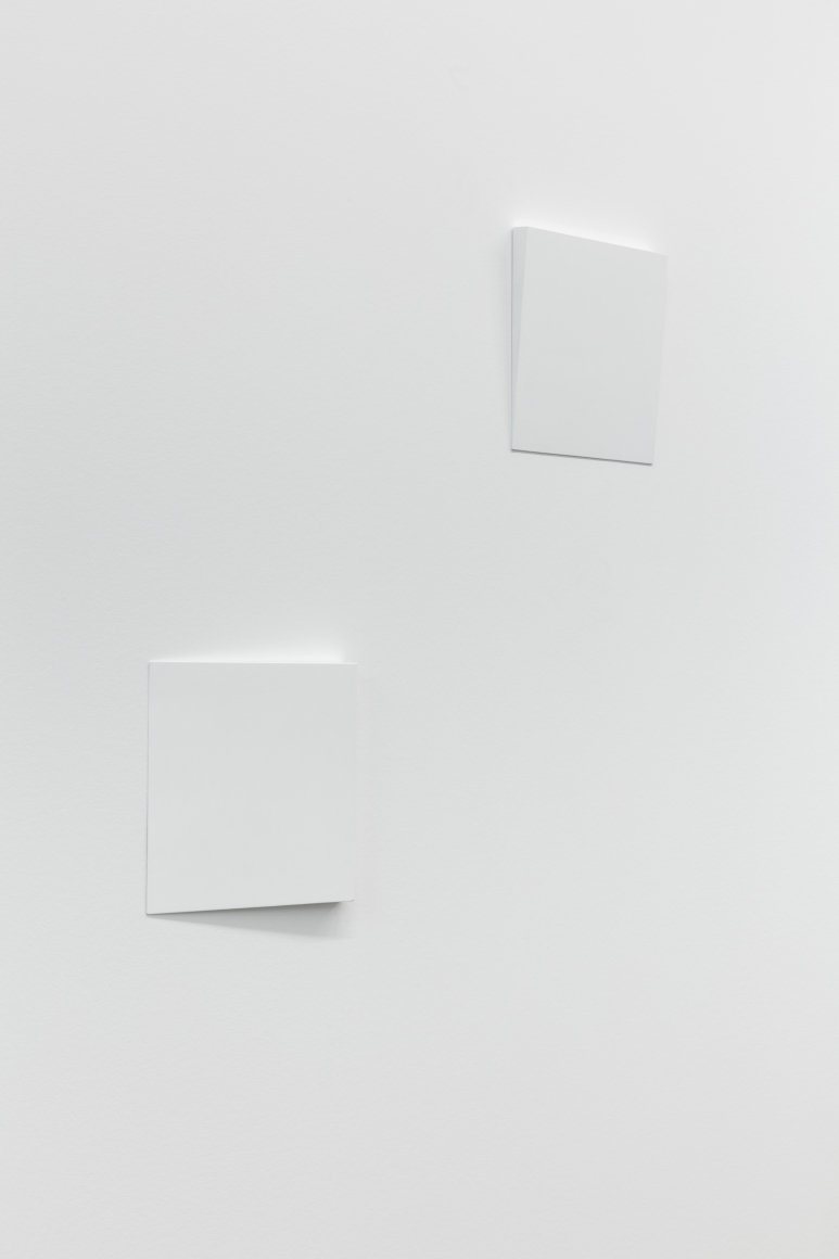 Fernanda Gomes Untitled