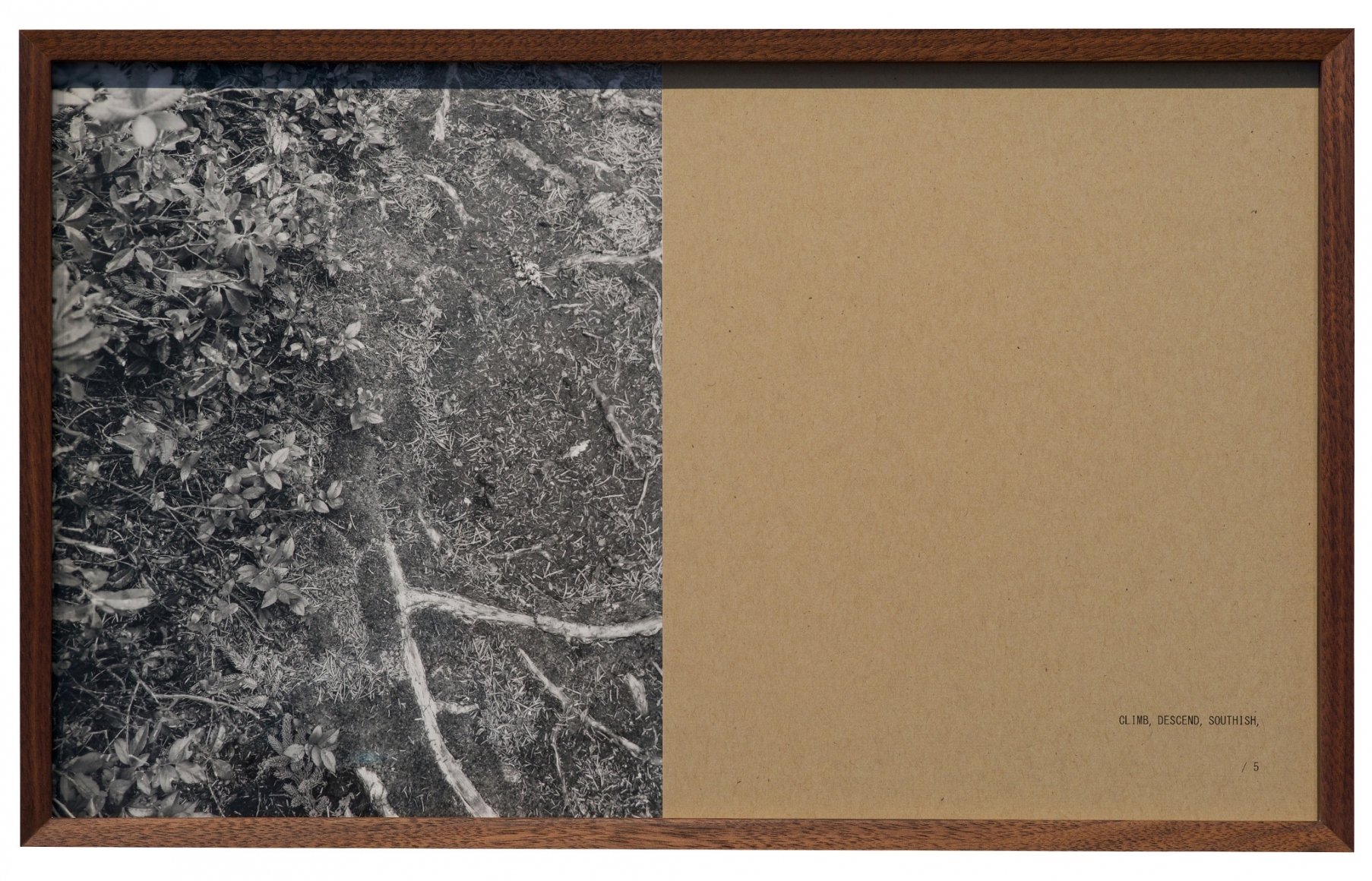 Helen Mirra , Walking commas, 28 June, Cape Breton