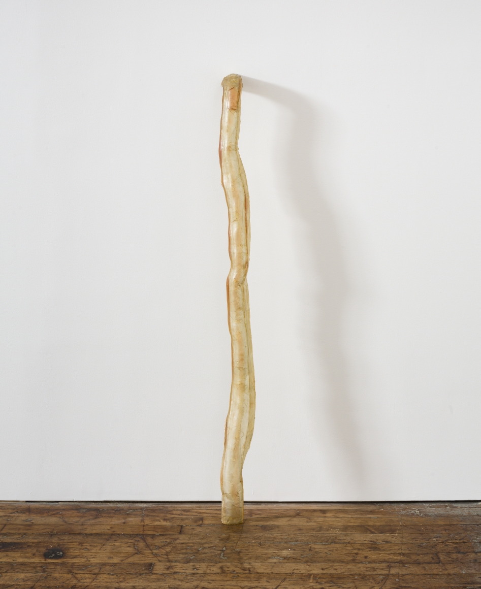 Bruce Nauman Untitled