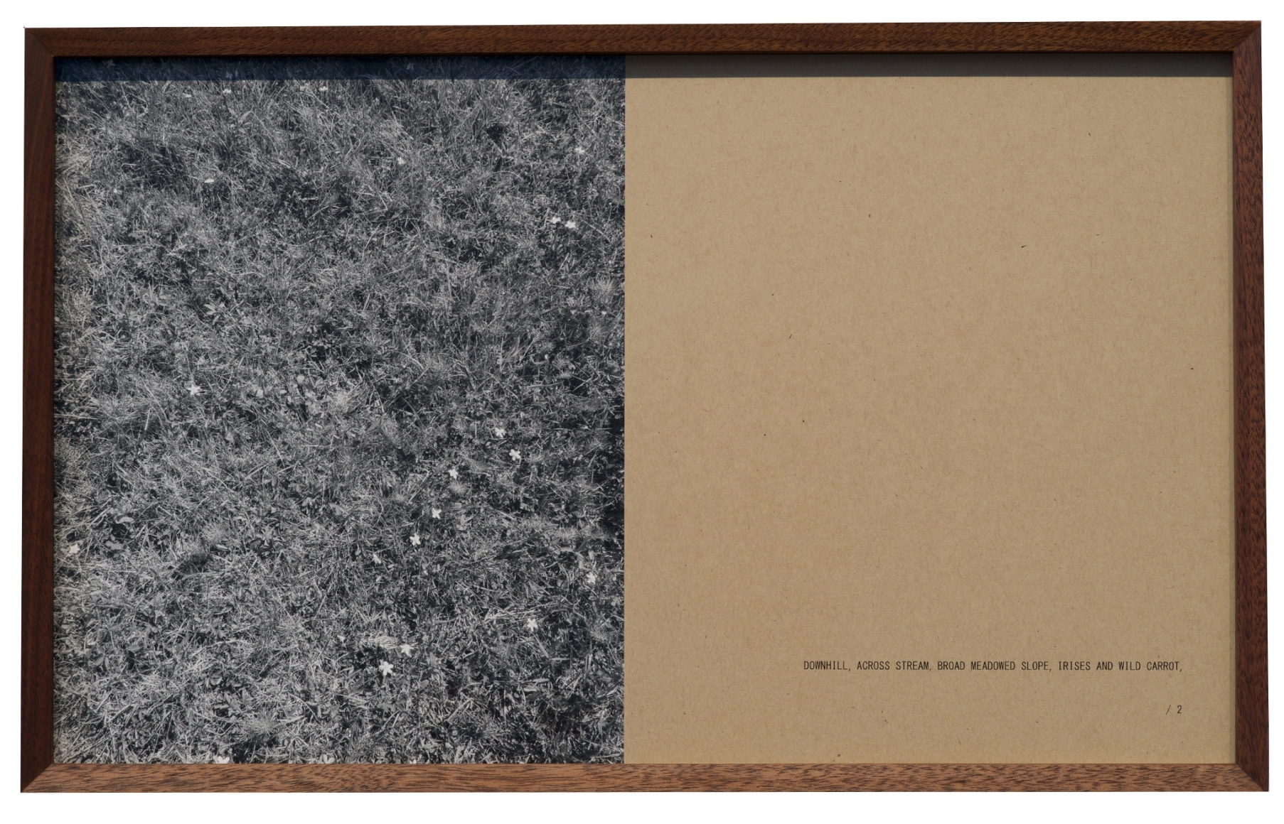 Helen Mirra , Walking commas, 28 June, Cape Breton
