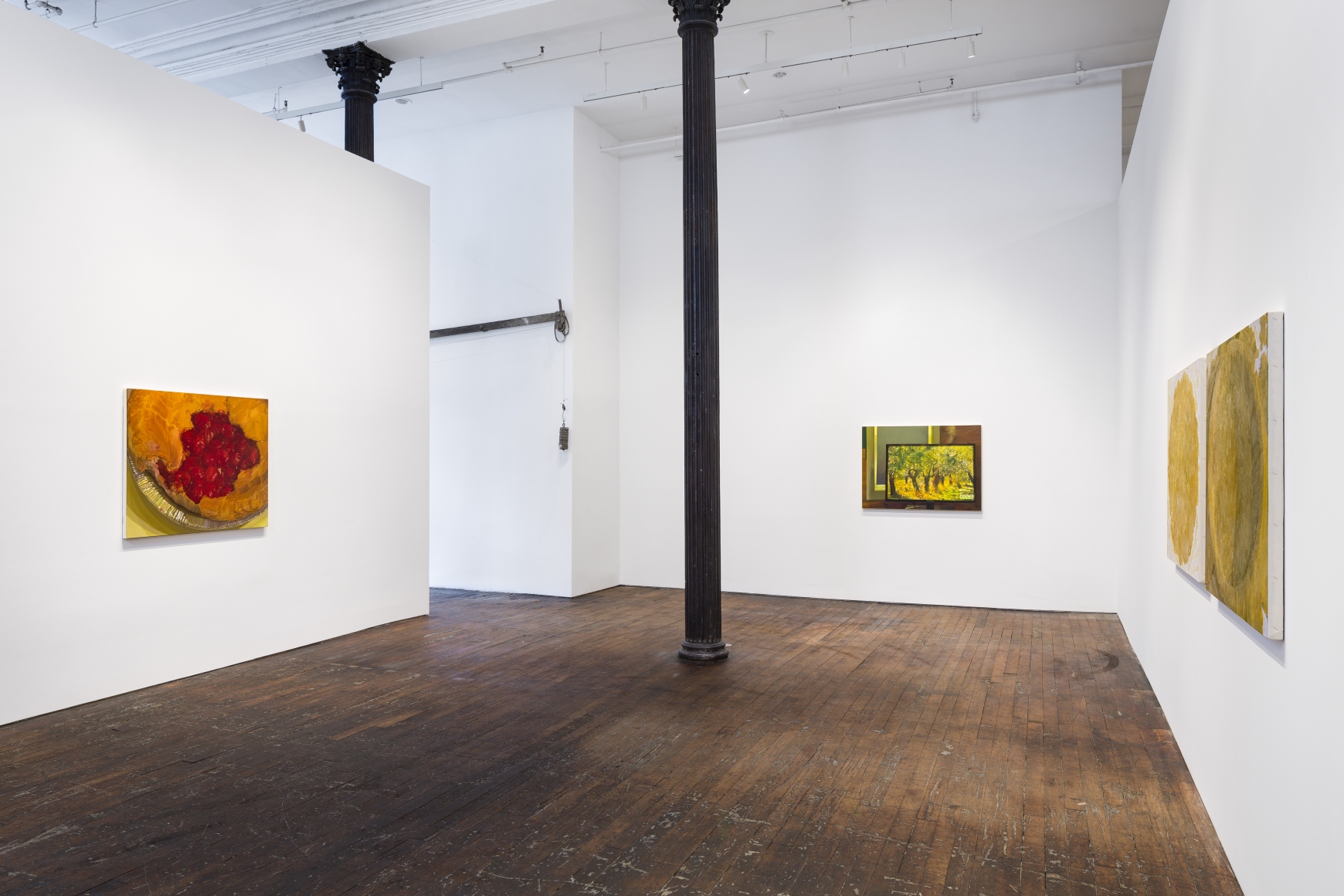 Catherine Murphy: Recent Work – installation view 1