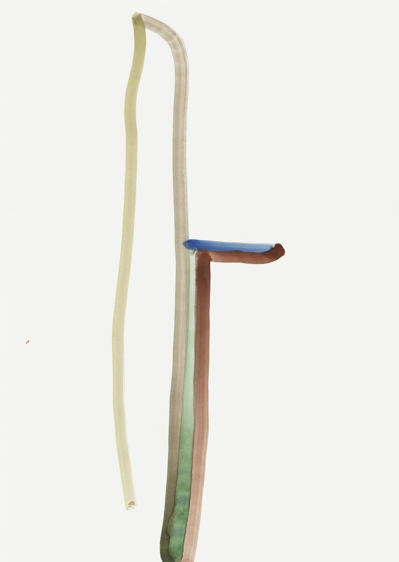Silvia Bächli Untitled