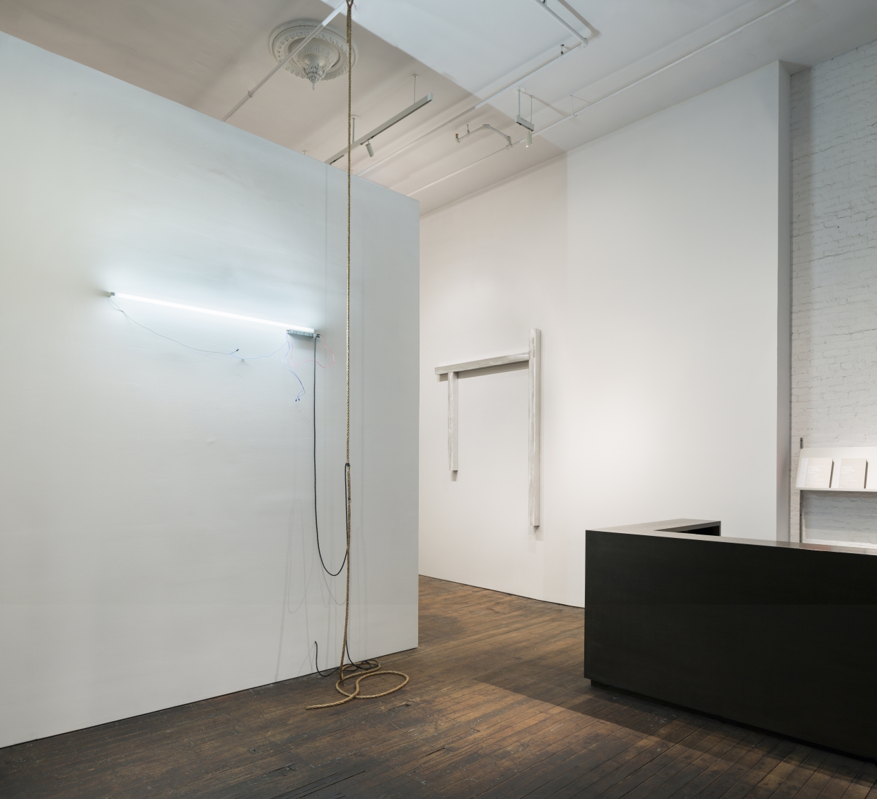 The Field, Peter Freeman, Inc., New York