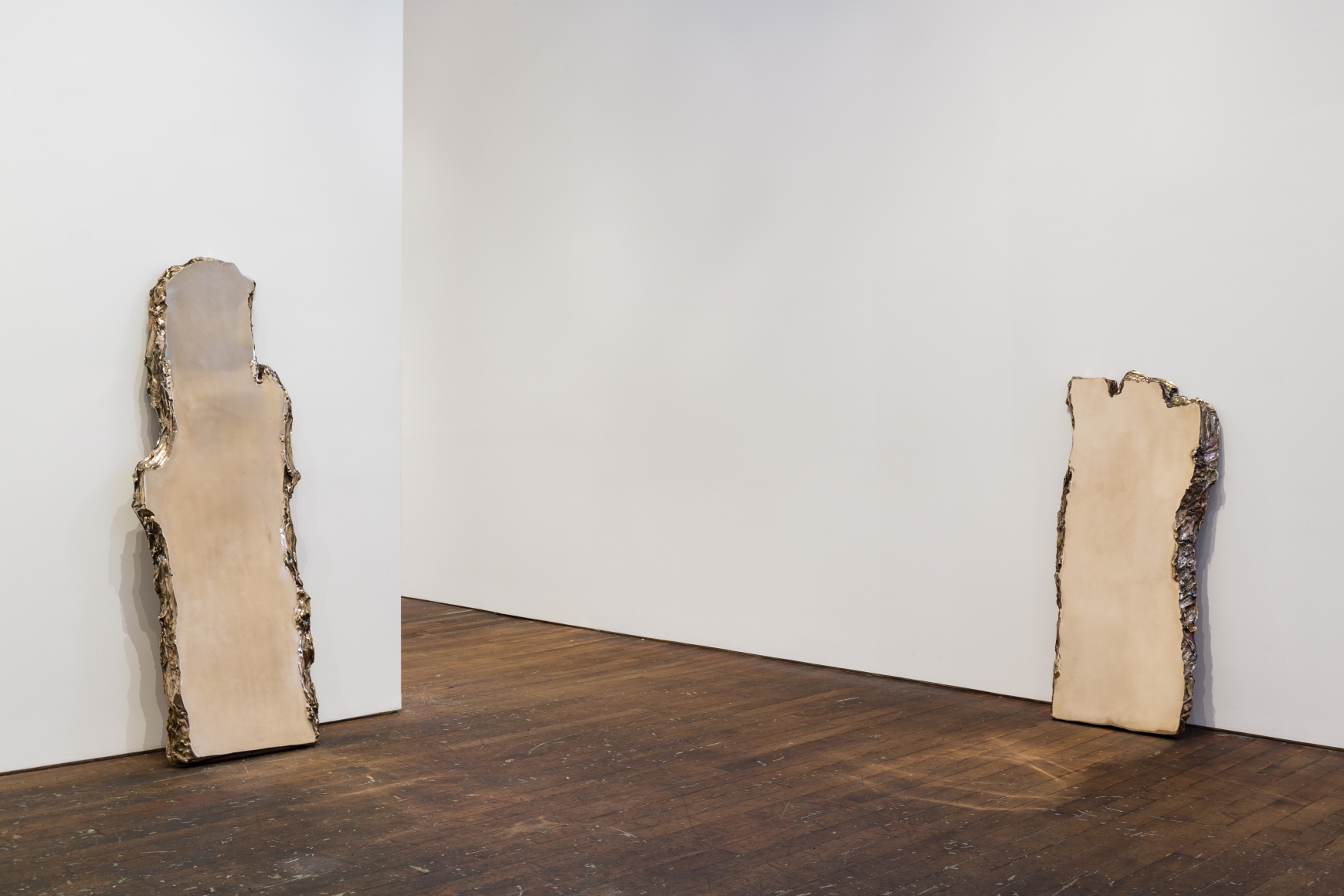Lucy Skaer, 