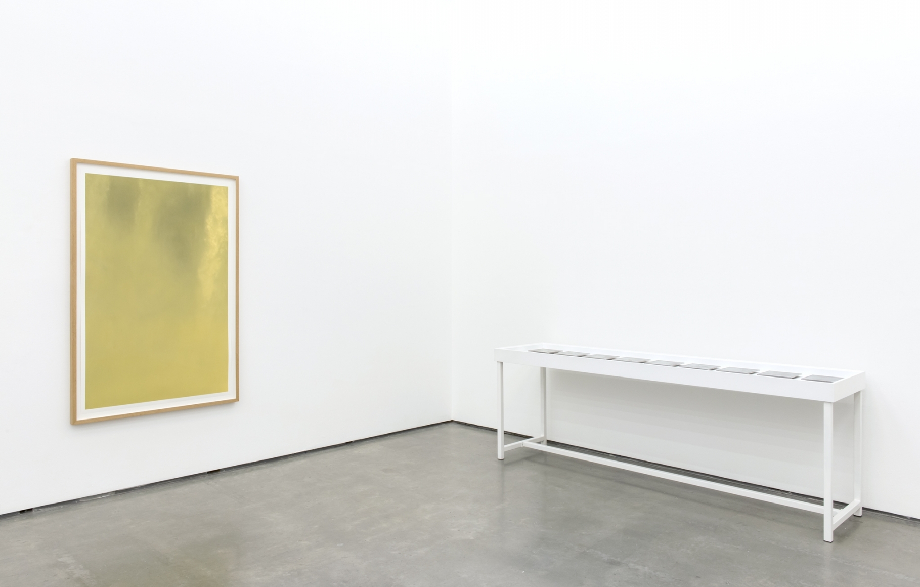 Dove Allouche | Negative Capability, The Contemporary Art Gallery, Vancouver, Canada 
