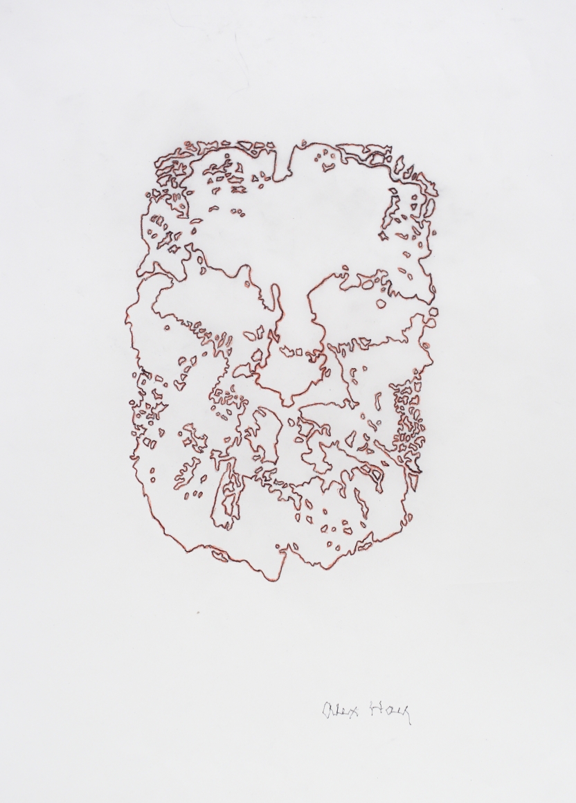 Alex Hay Face Print