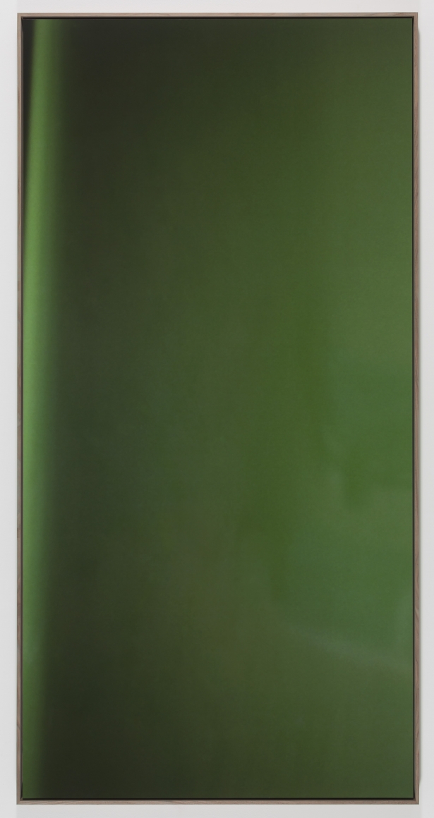 Jan Dibbets New Colorstudies - Moss Green Vertical