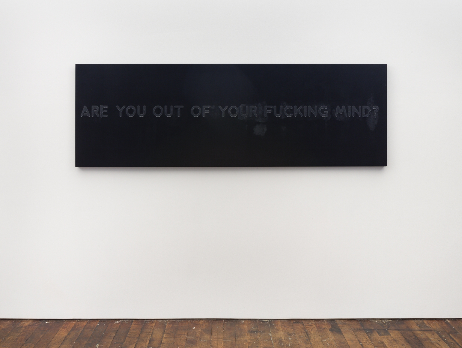 Mel Bochner Are You Out Of Your Fucking Mind? (installation) 