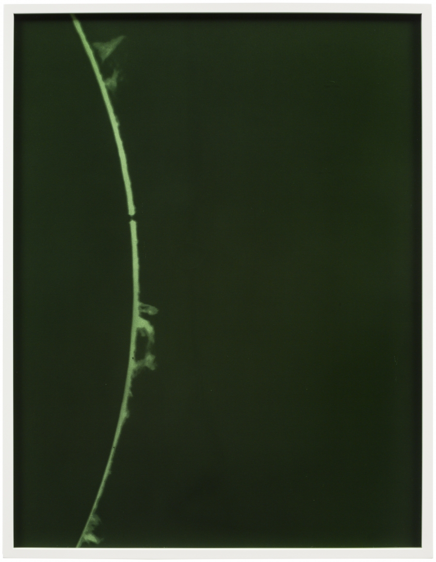 Emission line_5 2018