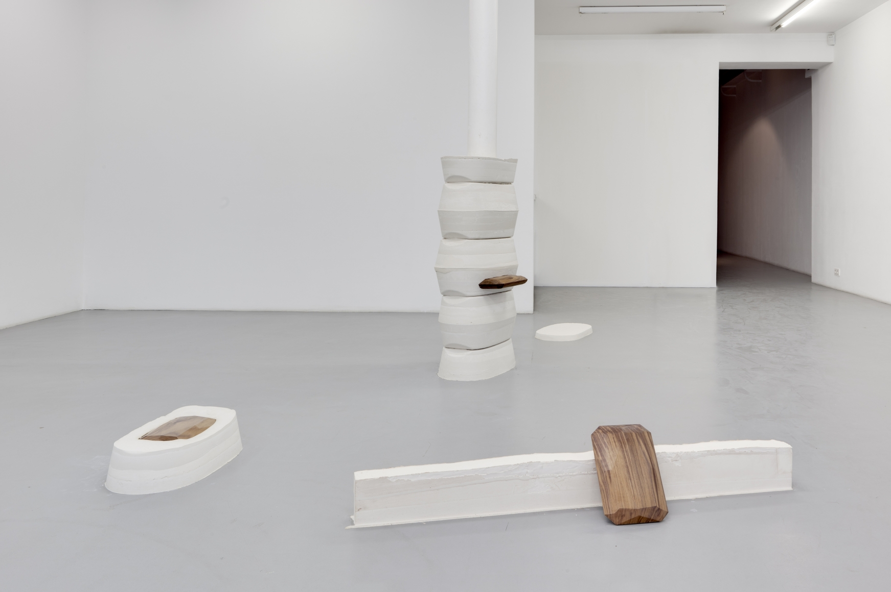 Lucy Skaer: Blanks and Ballast – installation view 6