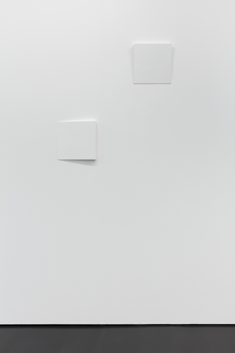 Fernanda Gomes Untitled