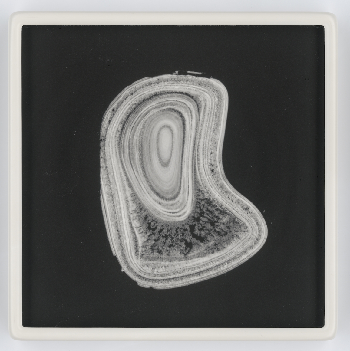 Perle_29, 2018 unique photolithograph and hand-blown crown glass