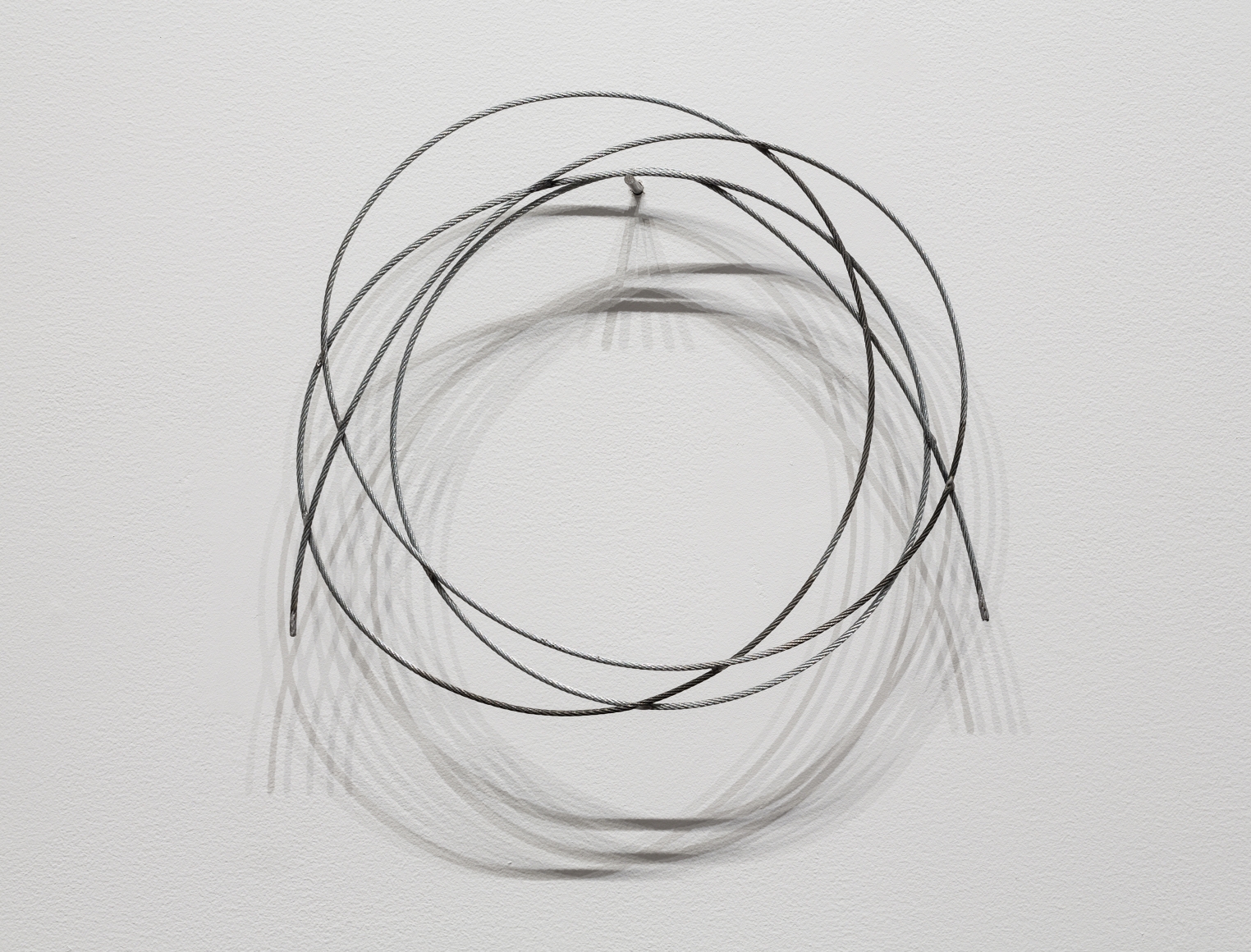 Catherine Murphy, 