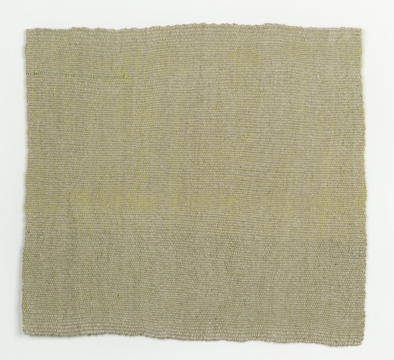 Helen Mirra Plain mirror