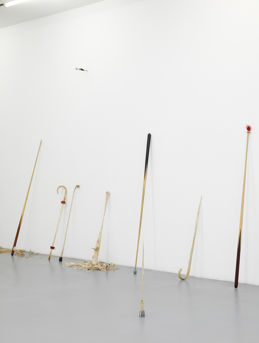 Ania Soliman - David Adamo, Galerie Nelson-Freeman, Paris. 