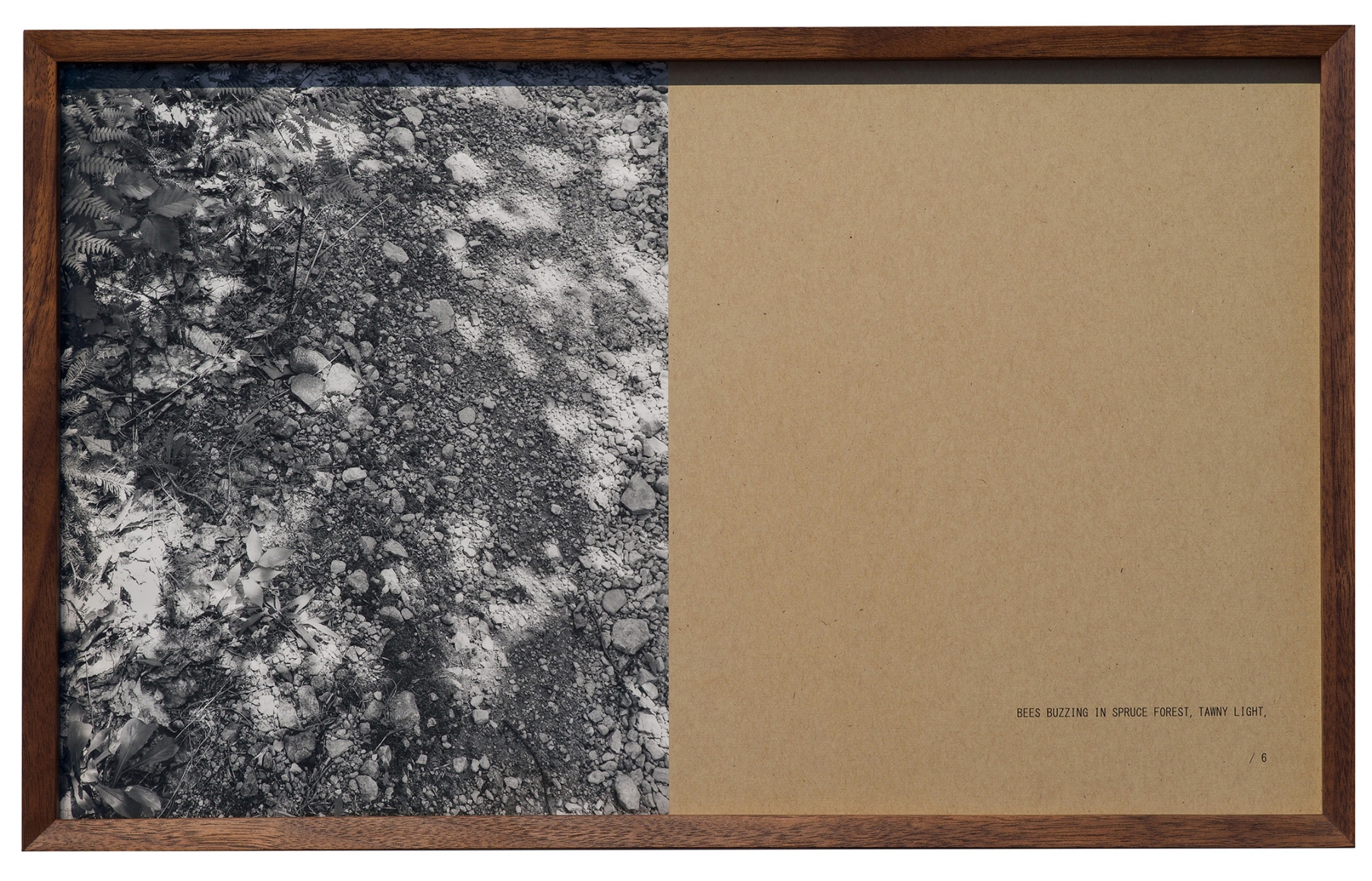Helen Mirra , Walking commas, 28 June, Cape Breton