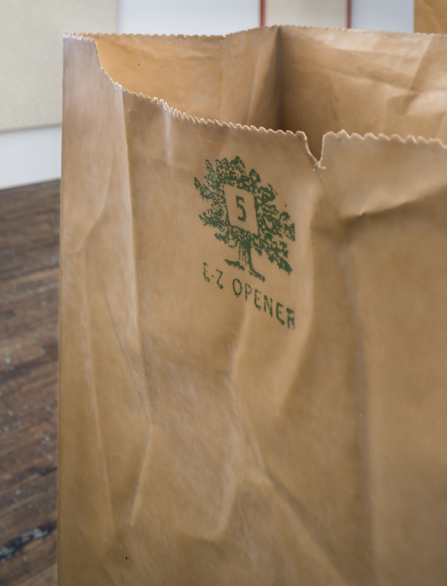 ALEX HAY, Paper Bag (detail)