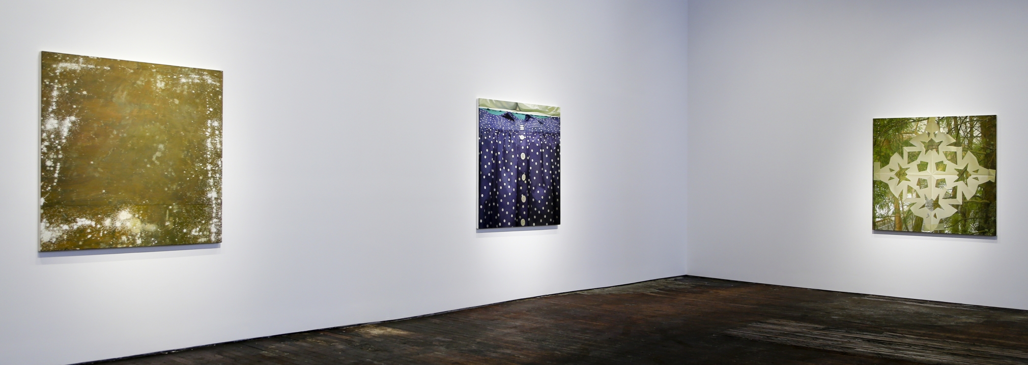Catherine Murphy: Recent Work – installation view 4