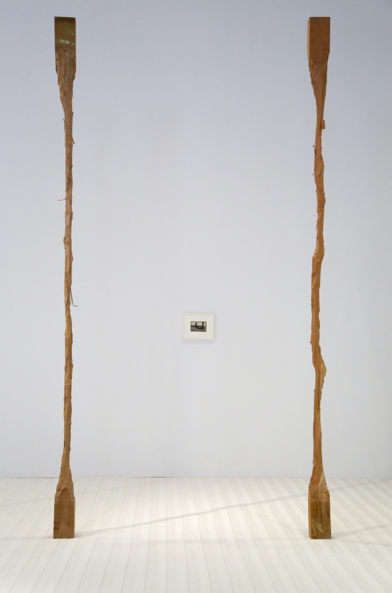 David Adamo / James Castle