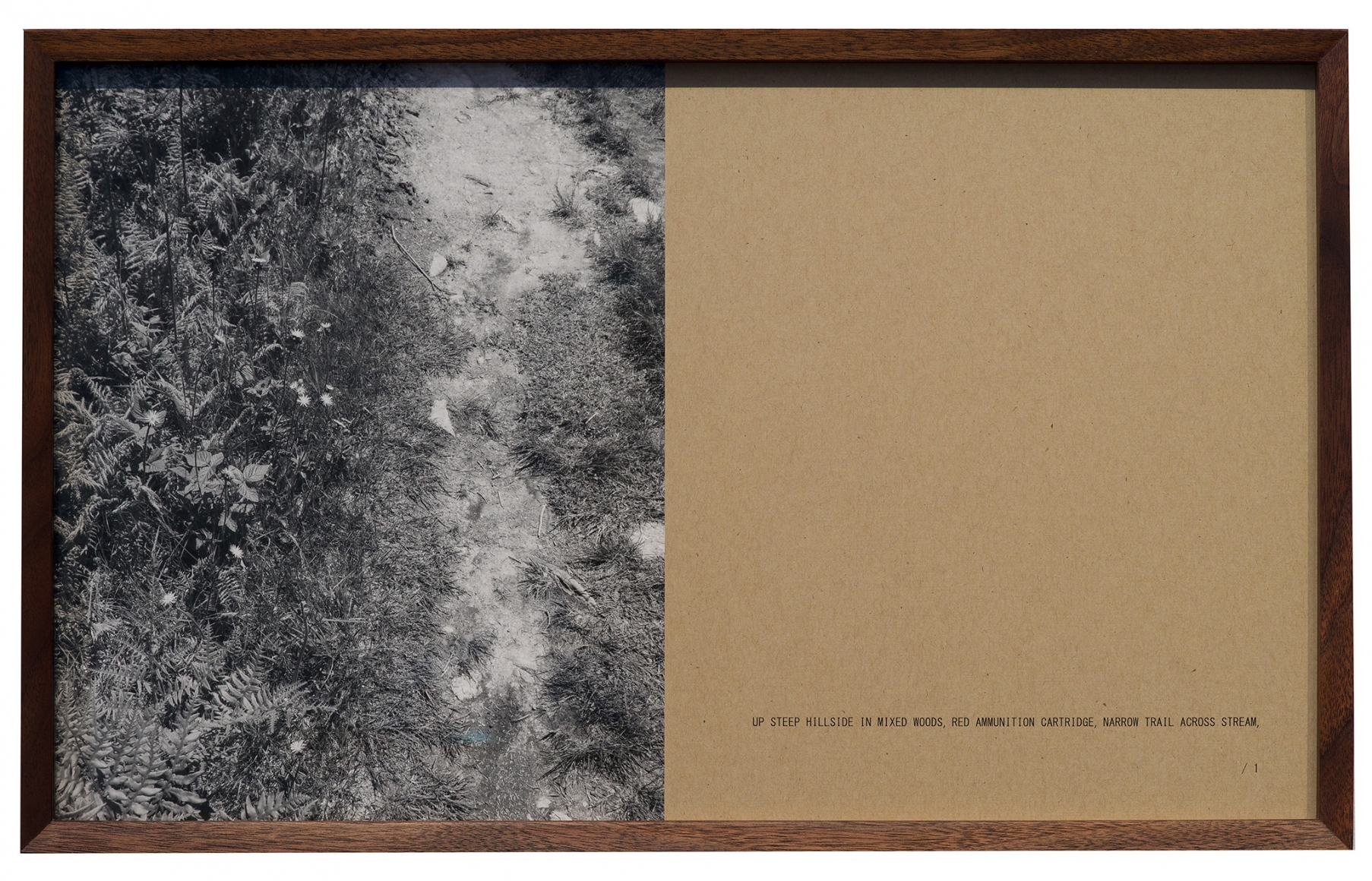 Helen Mirra , Walking commas, 28 June, Cape Breton