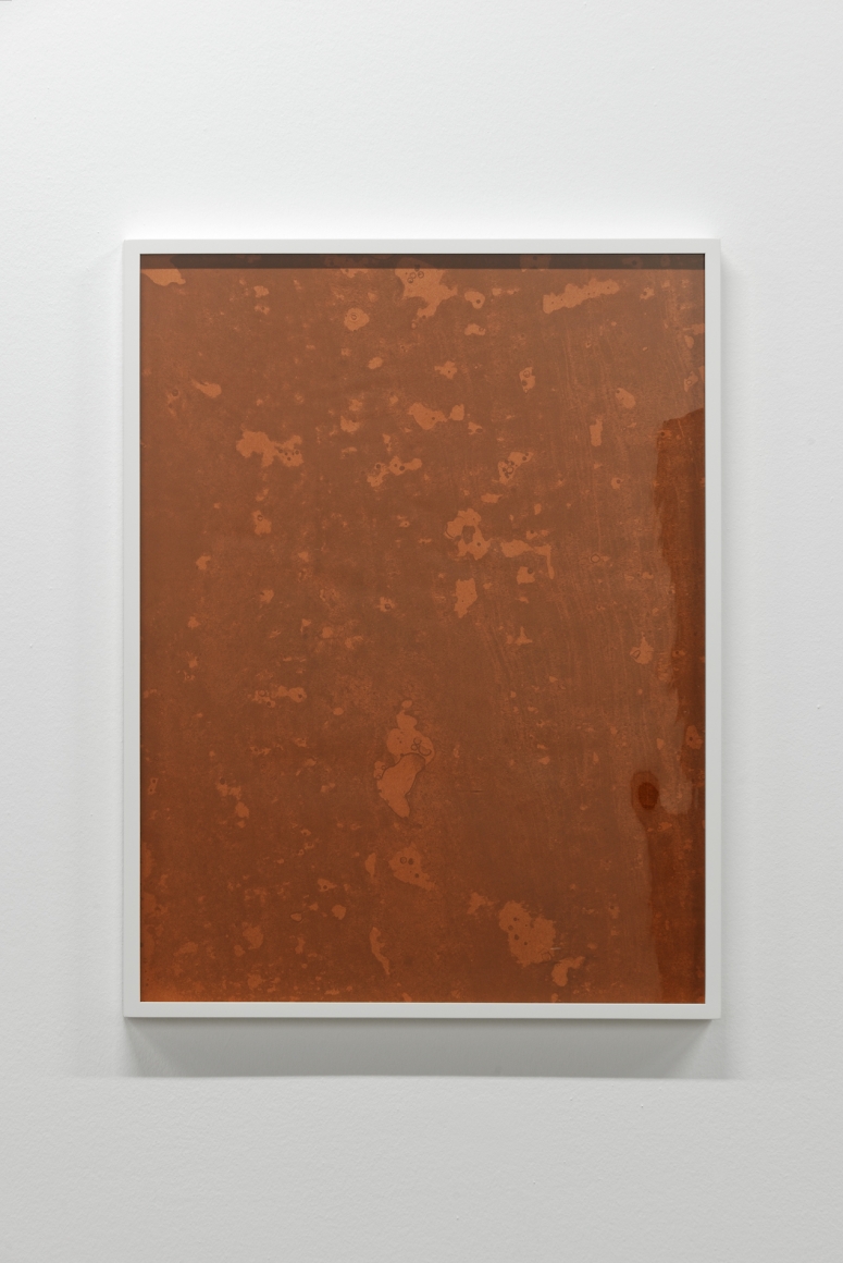 Mea culpa d'un sceptique, Curated by Kate Macfarlane