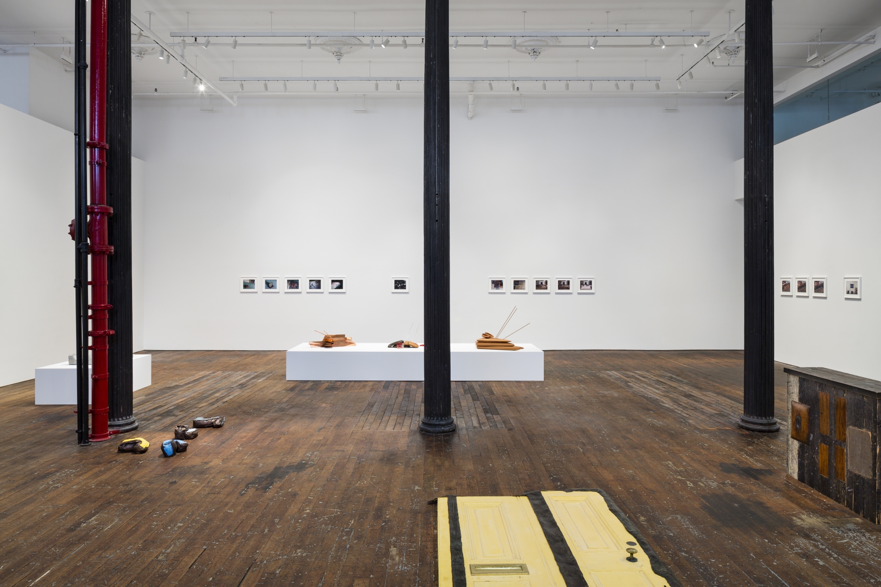 Lucy Skaer: Sentiment, Peter Freeman, Inc., New York. 