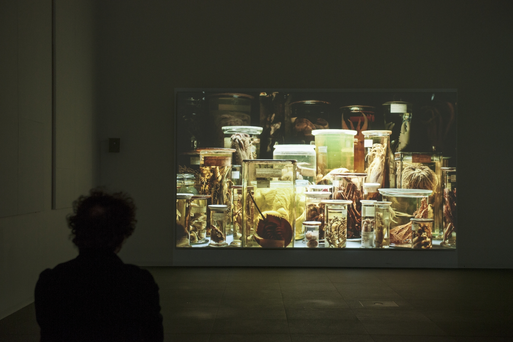 L'Archive des ombres / Shadow Archive